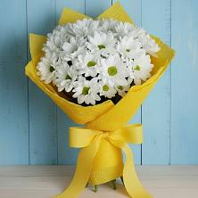 Букет цветов из:  Хризантемы в Вахонино