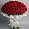 Букет 101 Красная роза Блэк Мэджик в Вахонино