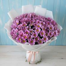Букет цветов из:  Хризантемы в Вахонино