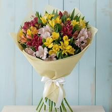 Букет цветов из:  Альстромерии в Вахонино