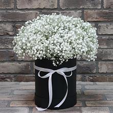 Цветочная композиция из Гипсофила в шляпной коробке #REPLACE_PRED# Вахонино