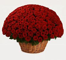 Премиум букет из: Розы в Вахонино