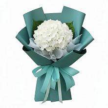 Букет цветов из:  Гортензия #REPLACE_PRED# Вахонино